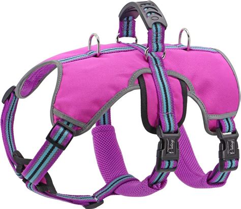 dog harness with handle amazon|padded dog harness with handle.